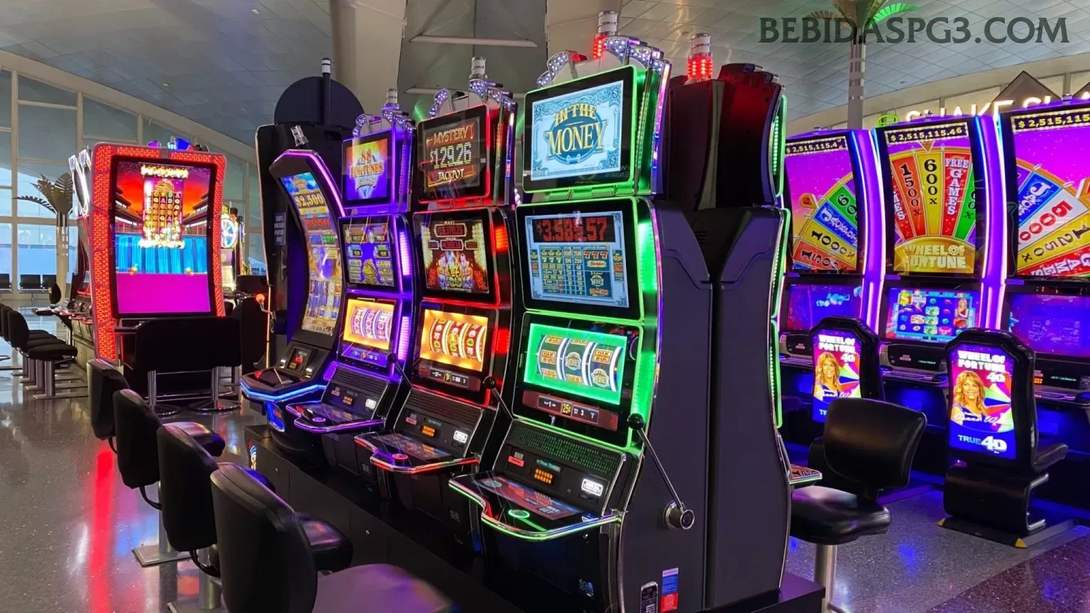 bebidaspg - 6